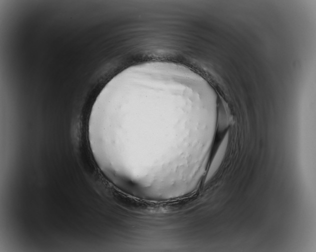 X0000087570591200705251822