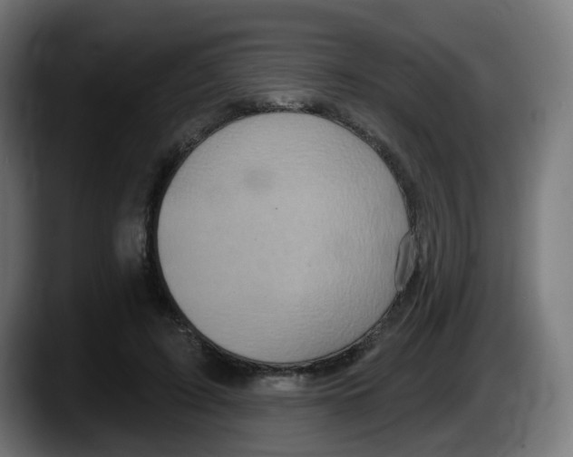 X0000087570595200705251822