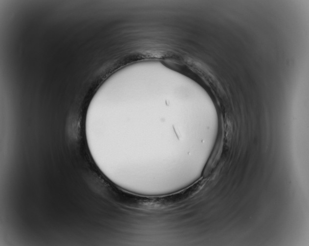 X0000087570596200705251822