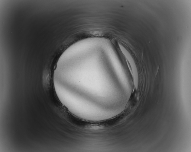 X0000087570597200705251822