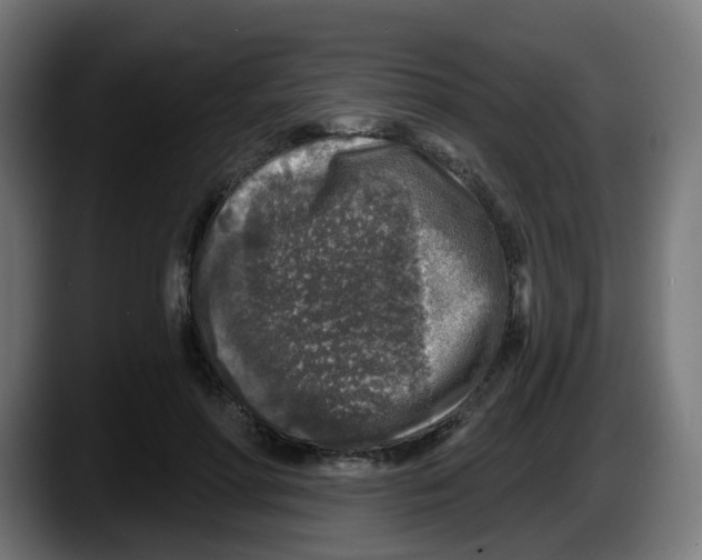 X0000087570598200705251822