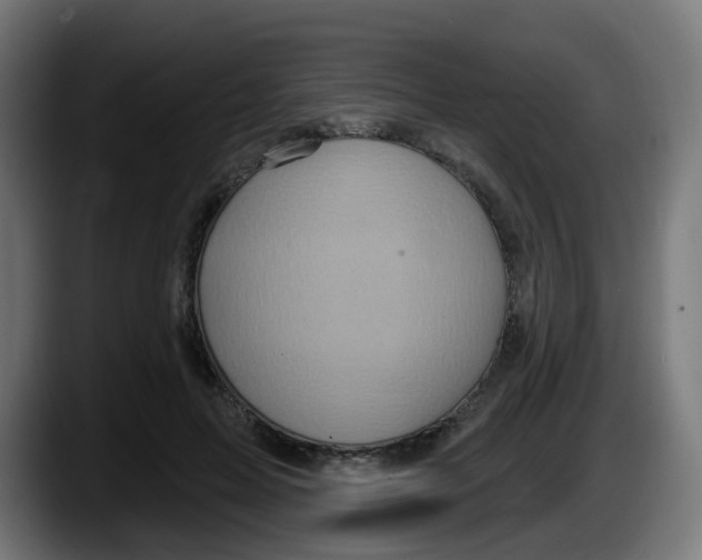 X0000087570599200705251822