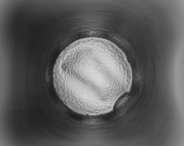 X0000087570607200705251822