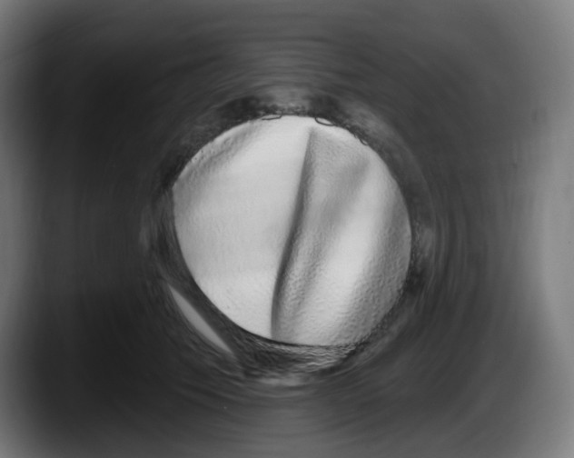 X0000087570609200705251822