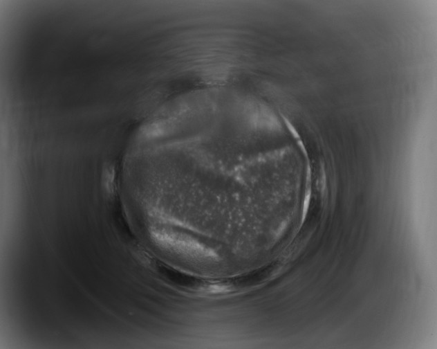 X0000087570610200705251822