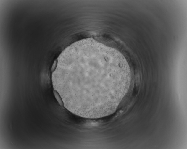 X0000087570613200705251822