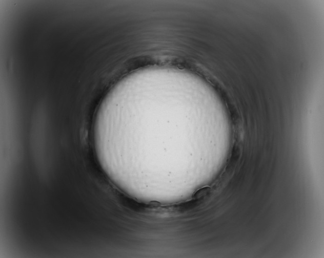 X0000087570615200705251822