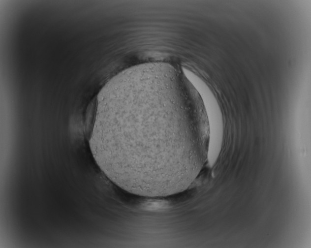 X0000087570617200705251821