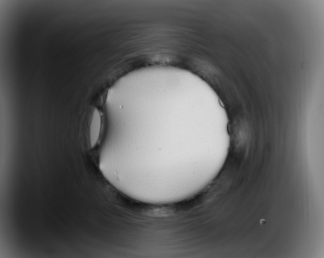 X0000087570619200705251821