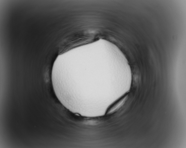 X0000087570620200705251821