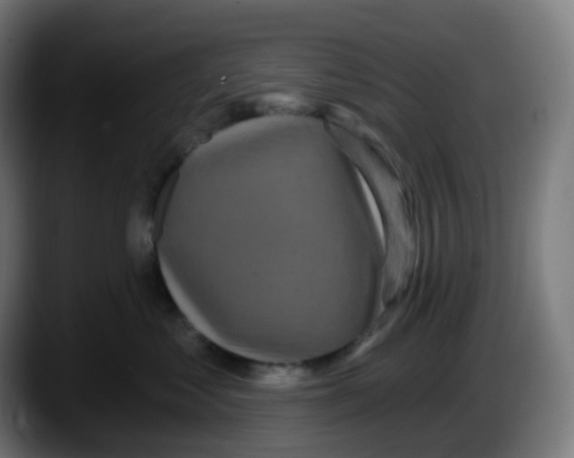 X0000087570621200705251821