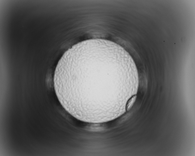 X0000087570622200705251821