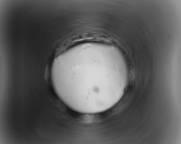 X0000087570623200705251821