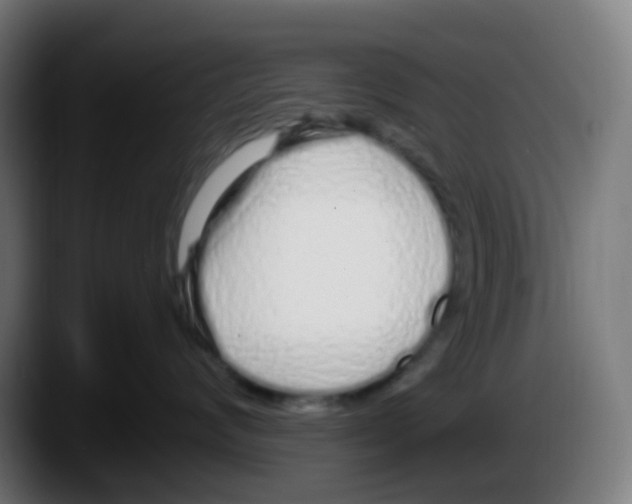 X0000087570624200705251821