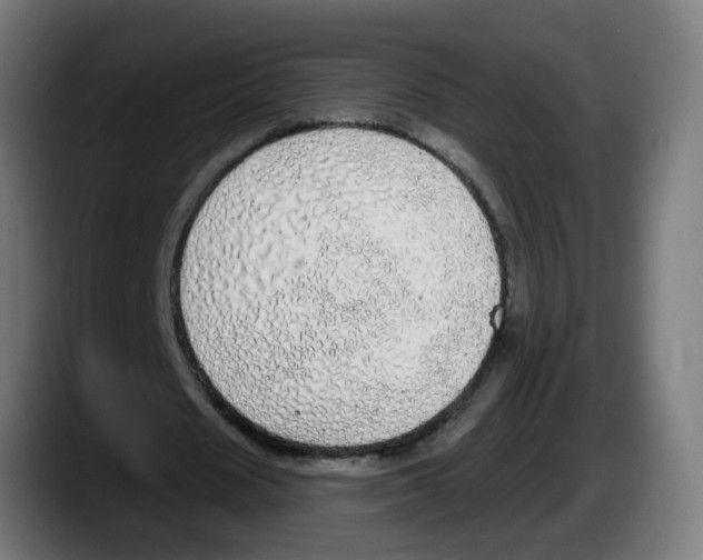 X0000087570625200705251821