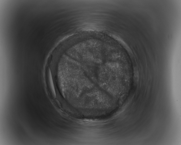 X0000087570626200705251821