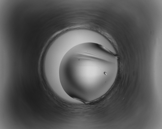 X0000087570628200705251821