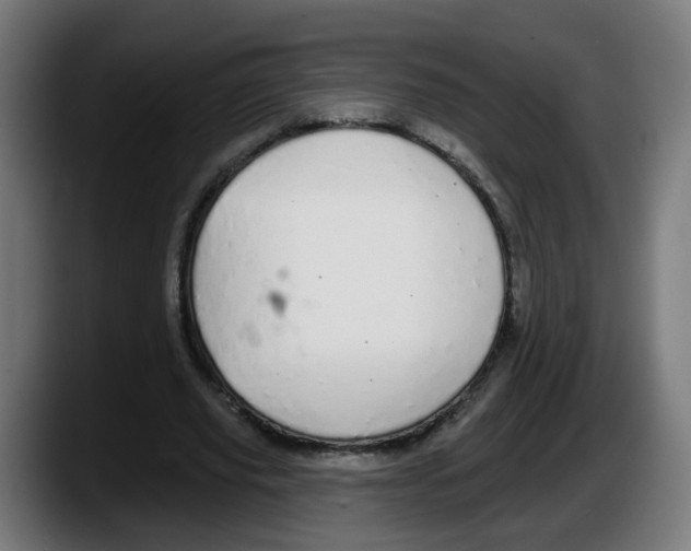 X0000087570629200705251821