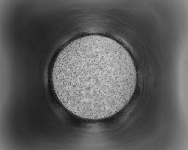 X0000087570631200705251821