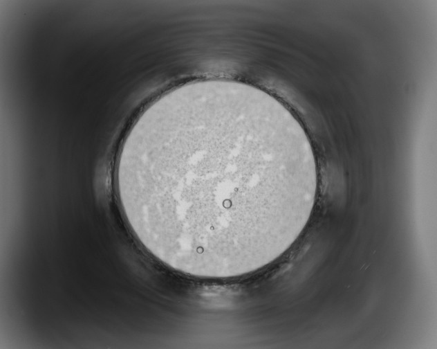 X0000087570632200705251821