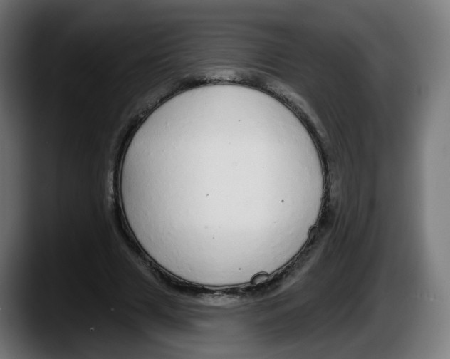 X0000087570633200705251821