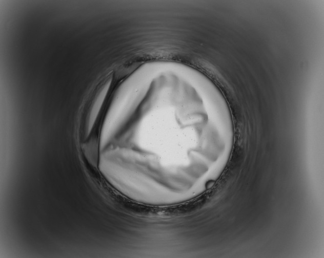 X0000087570634200705251821