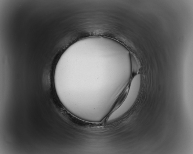 X0000087570638200705251821