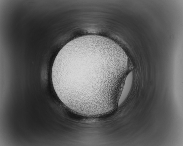 X0000087570639200705251821