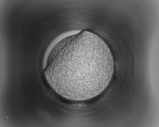 X0000087570642200705251821