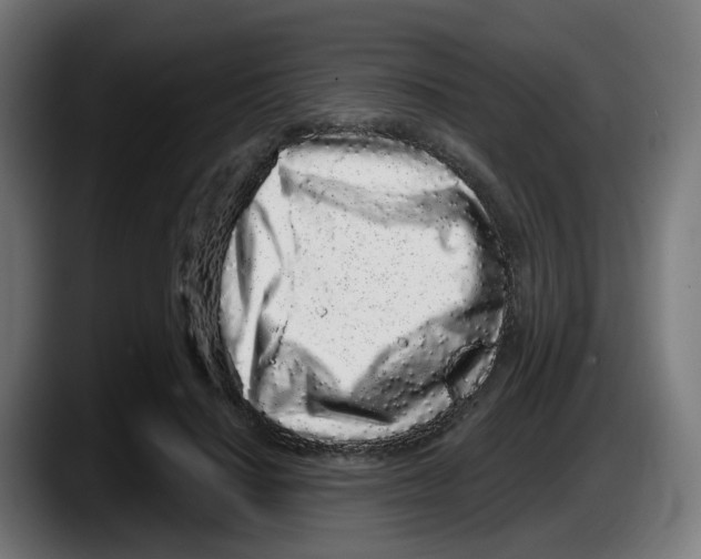 X0000087570644200705251821