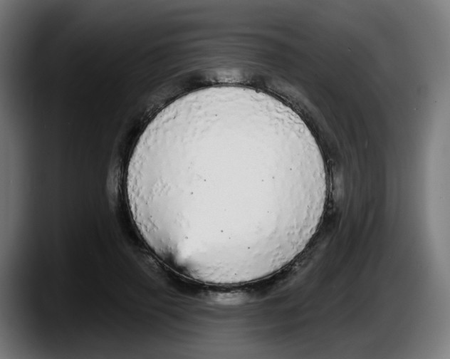 X0000087570645200705251821