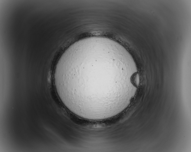 X0000087570646200705251821