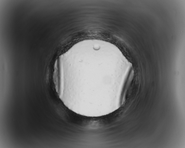 X0000087570647200705251821