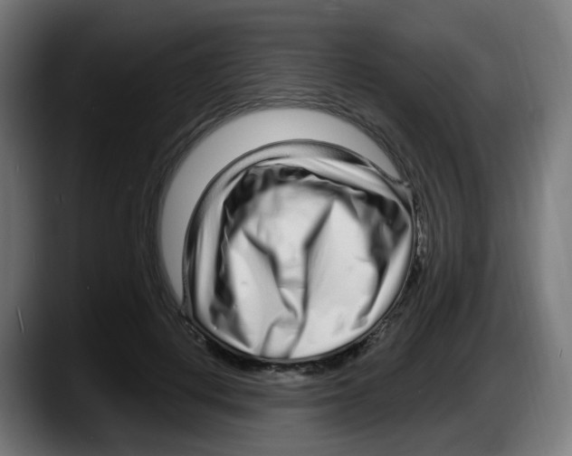 X0000087570648200705251821