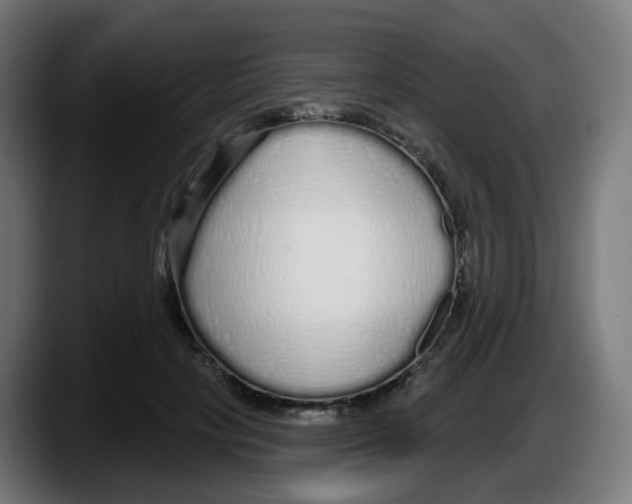 X0000087570649200705251821