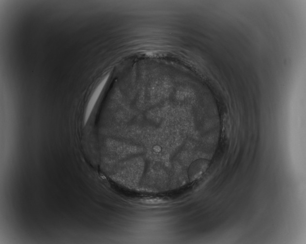 X0000087570650200705251821