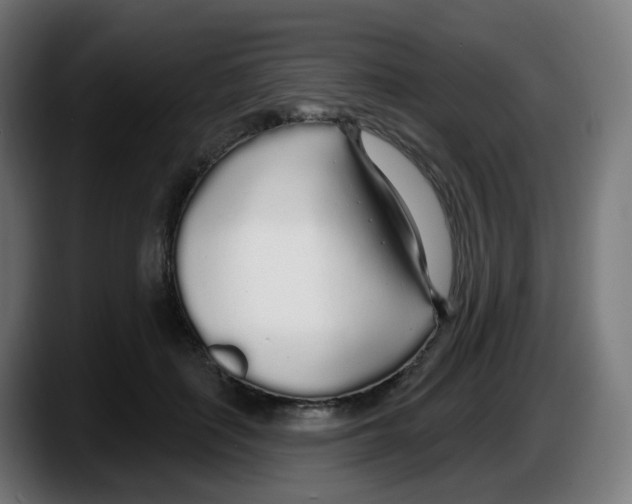 X0000087570651200705251821