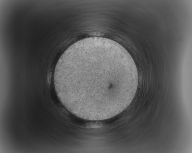 X0000087570652200705251821