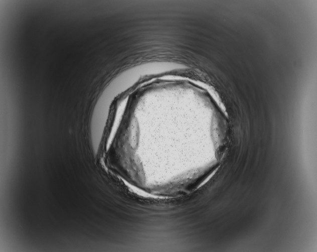 X0000087570654200705251821