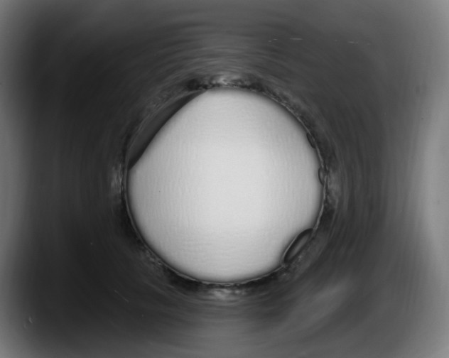 X0000087570657200705251821