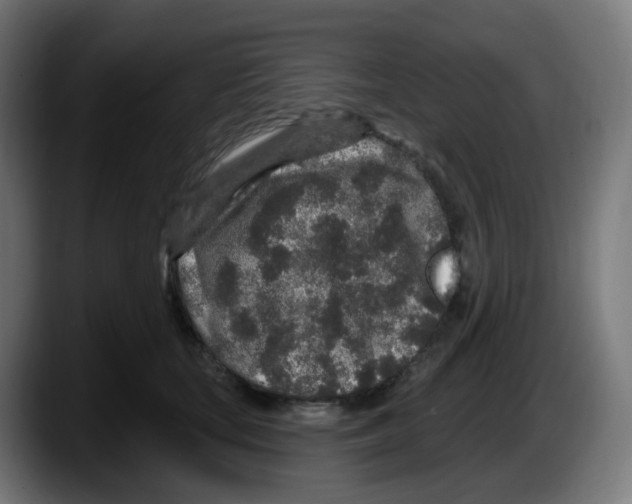 X0000087570659200705251821