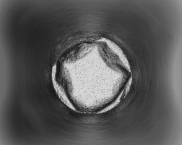 X0000087570661200705251821