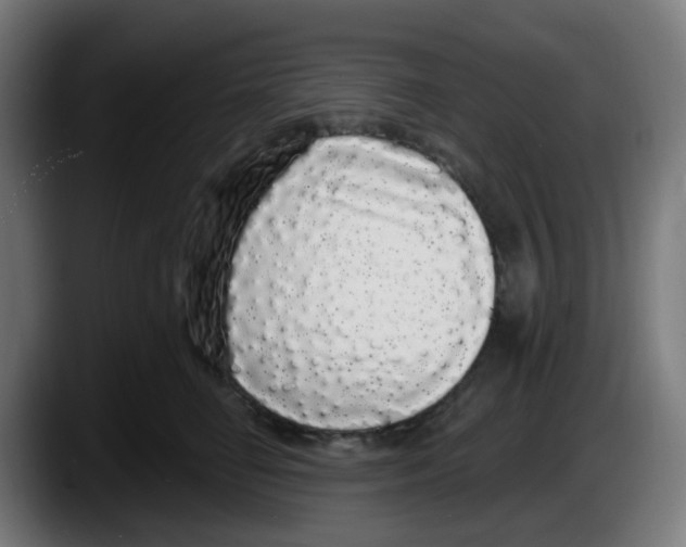 X0000087570662200705251821