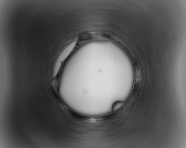 X0000087570664200705251821