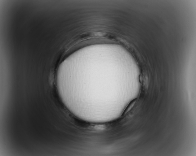 X0000087570665200705251821