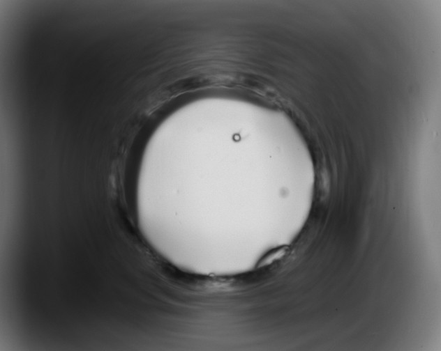 X0000087570668200705251821