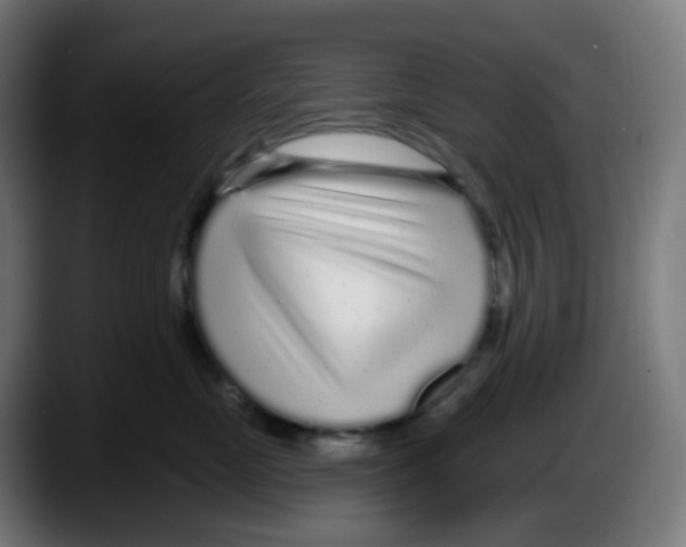 X0000087570669200705251821