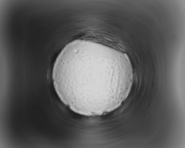 X0000087570670200705251821