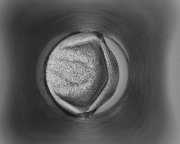 X0000087570673200705251821