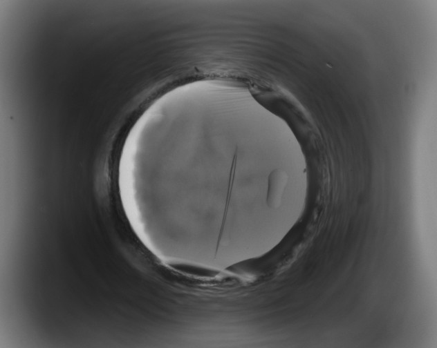 X0000087570674200705251821